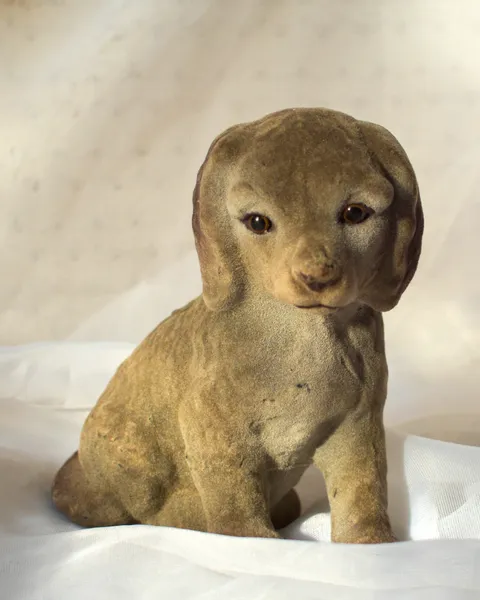 Cachorro afelpado, foto 2
