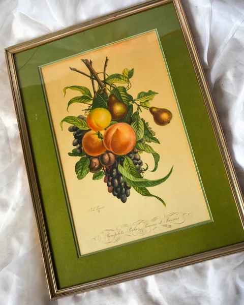 Cuadro de frutas, foto 2