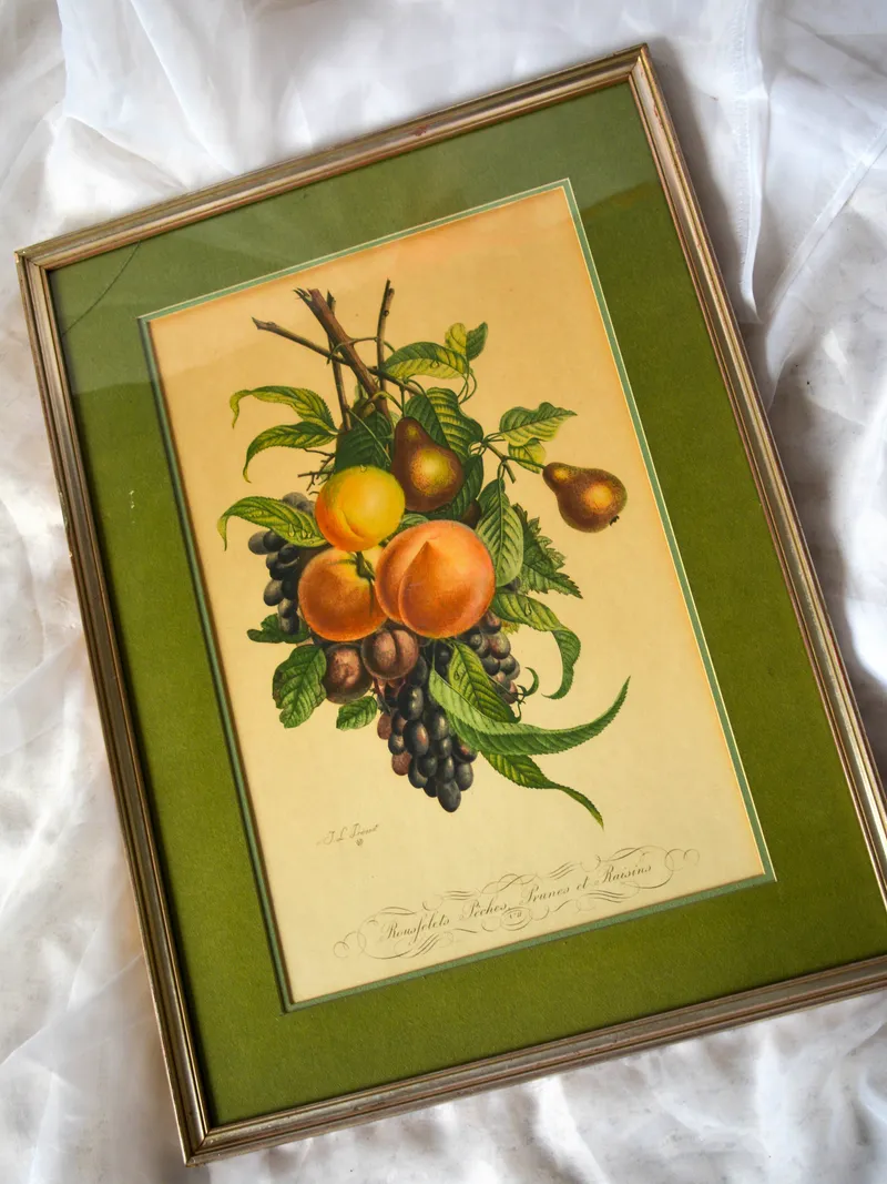 Cuadro de frutas, foto 2 de 3