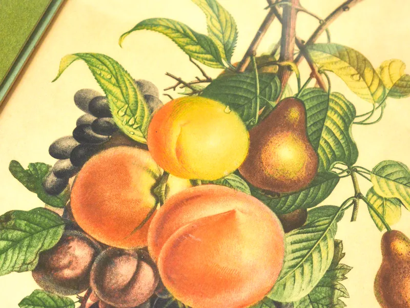 Cuadro de frutas, foto 3 de 3