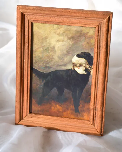 Marco de madera con perro