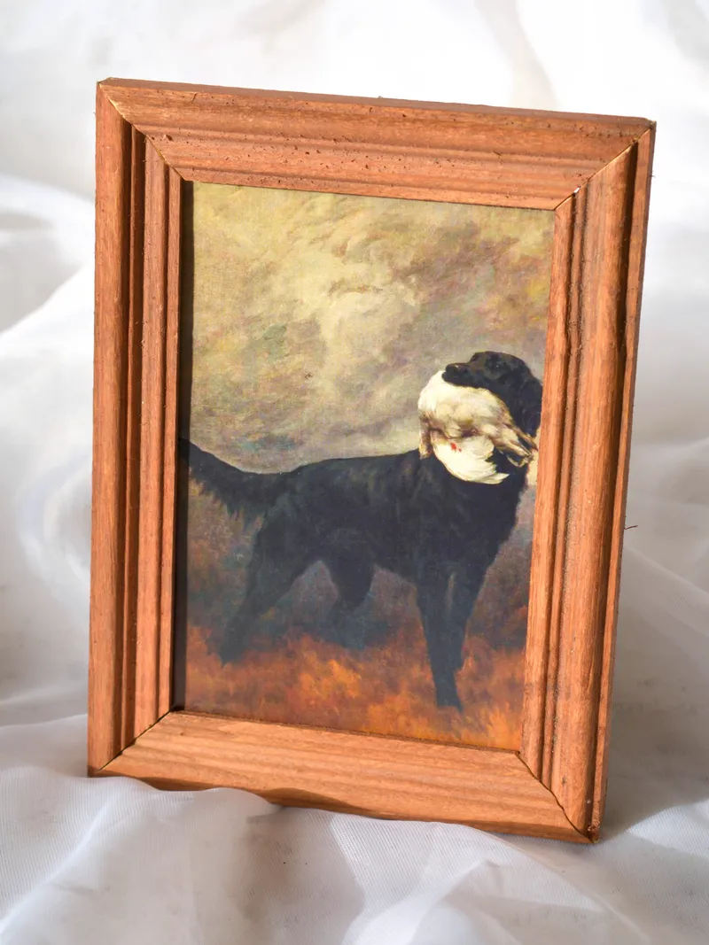 Marco de madera con perro, foto 1 de 3
