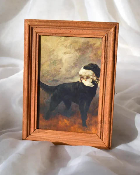 Marco de madera con perro, foto 2
