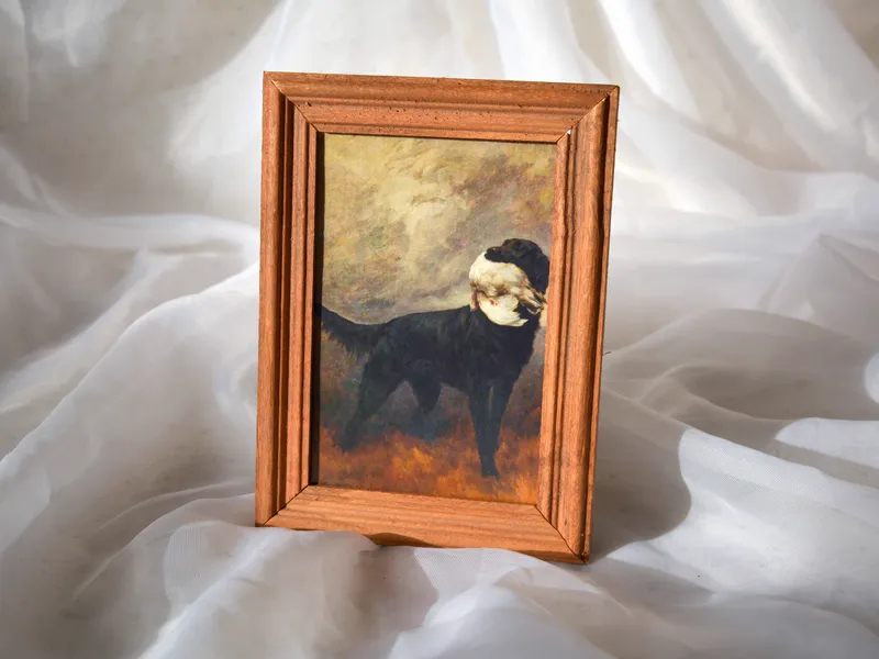Marco de madera con perro, foto 2 de 3