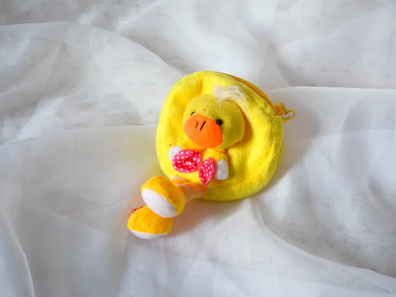 Monedero patito, foto 1 de 2