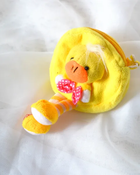 Monedero patito, foto 2