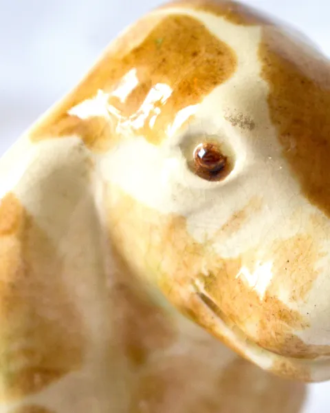 Perro contenedor de cerámica, foto 3