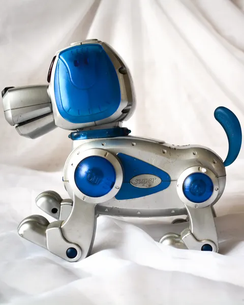 Perro robot, foto 2